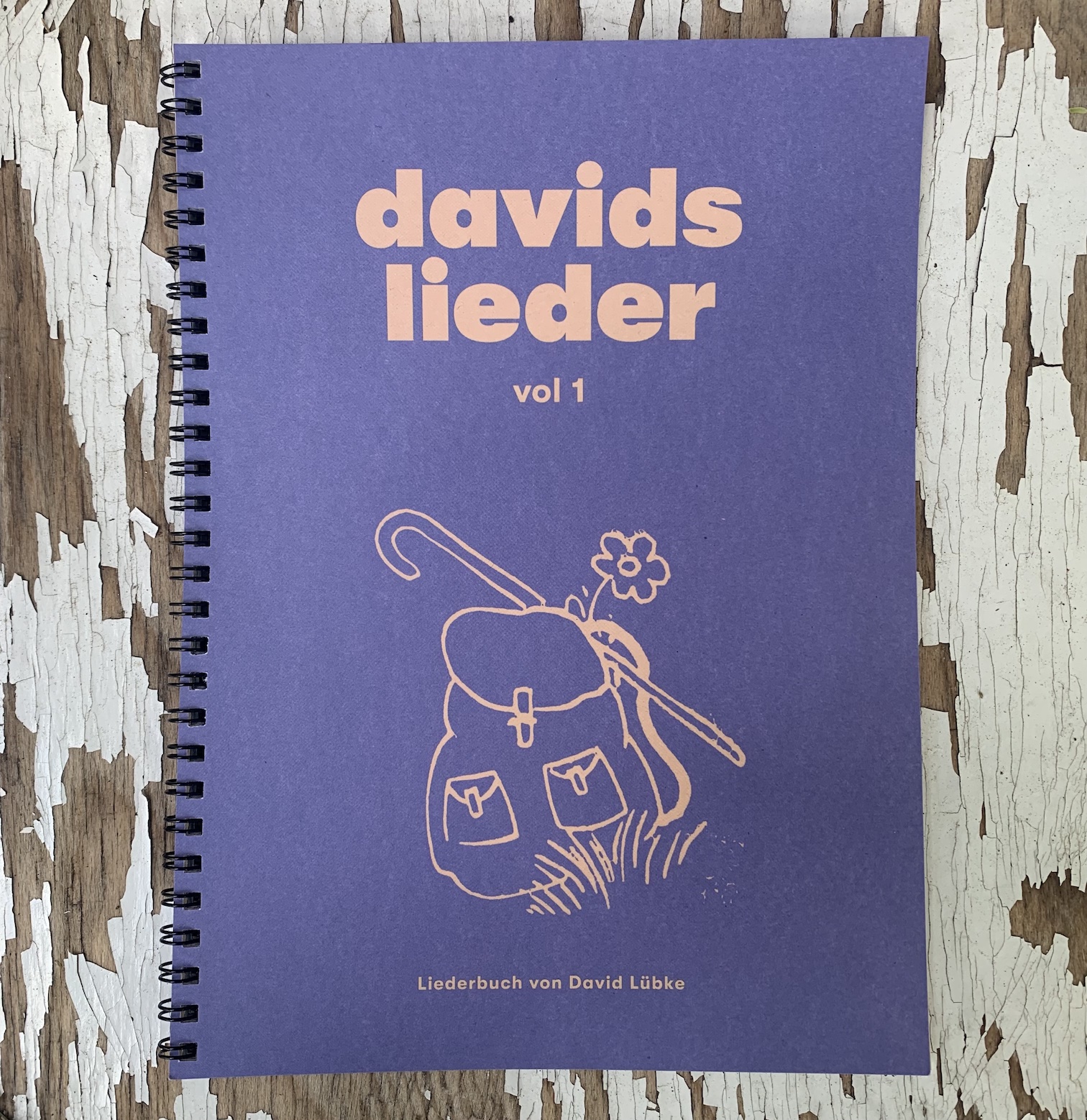 davids lieder vol. 1 (Liederbuch)